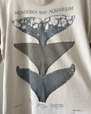 90s Monterey Bay Aquarium T-Shirt | M