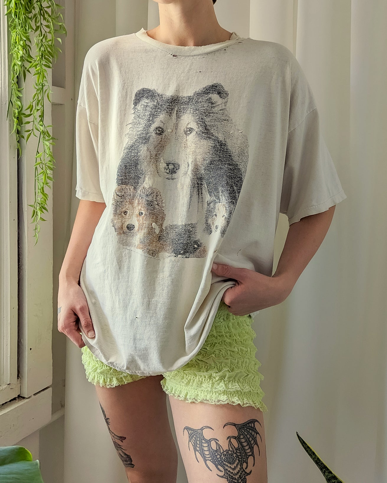 90s Distressed Collie Dogs T-Shirt | M-L