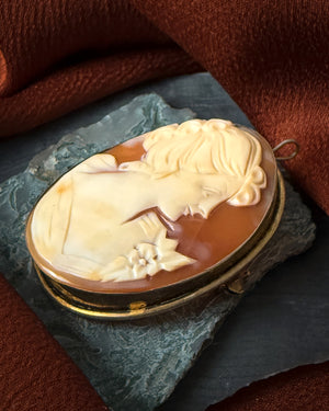 Antique Shell Cameo Brooch