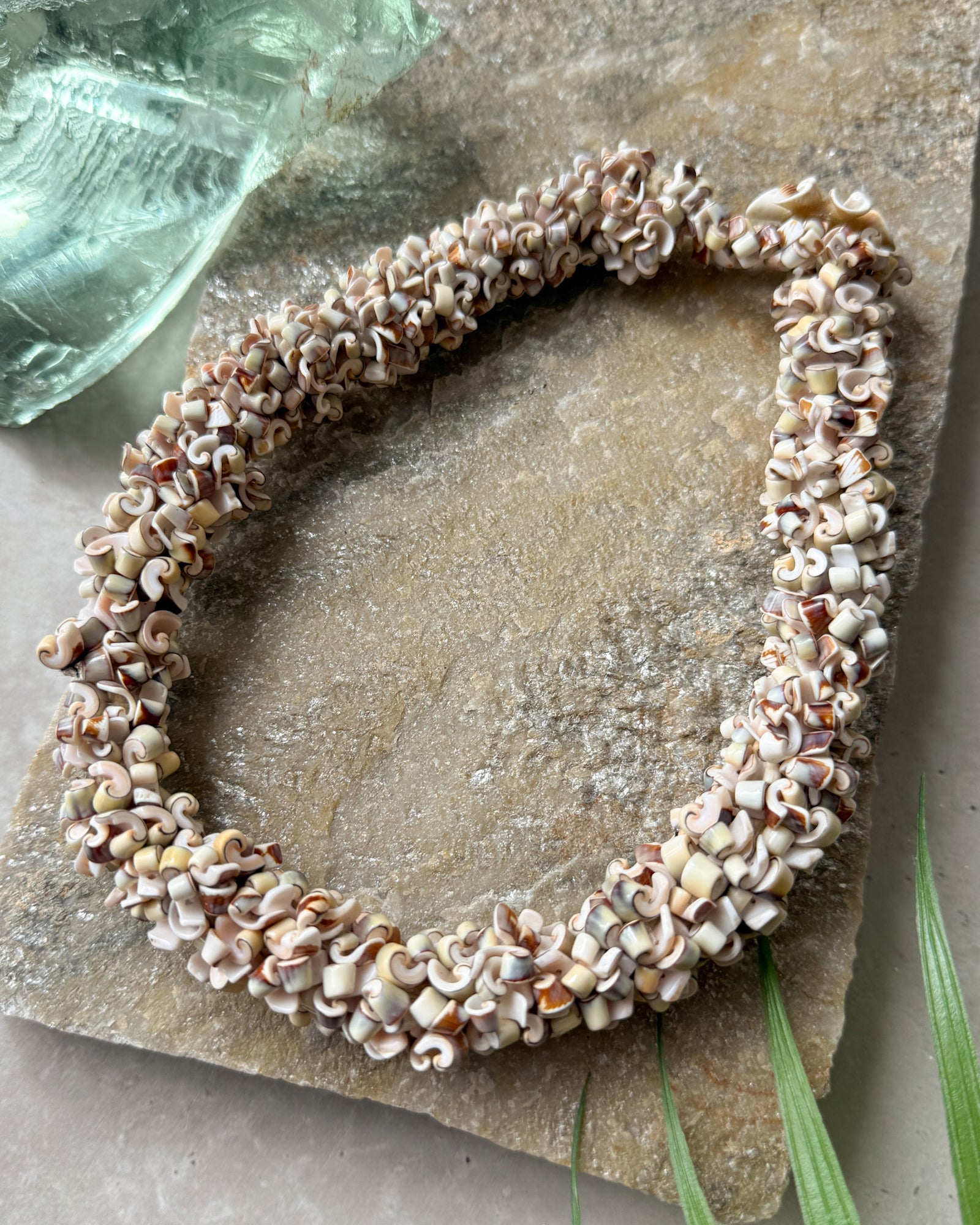 Chunky Curly Shell Necklace