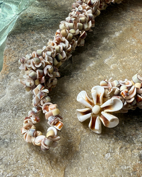 Chunky Curly Shell Necklace - Lucky Vintage