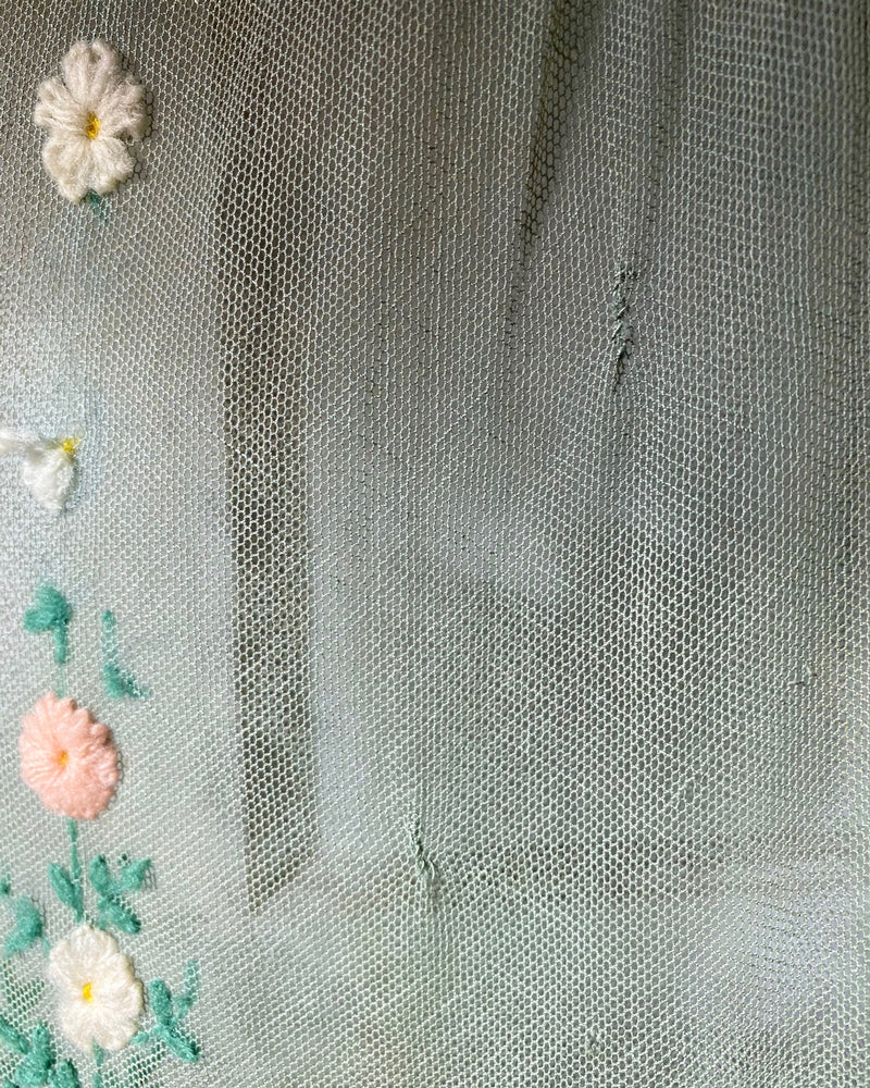 20s Embroidered Mesh Dress | XS